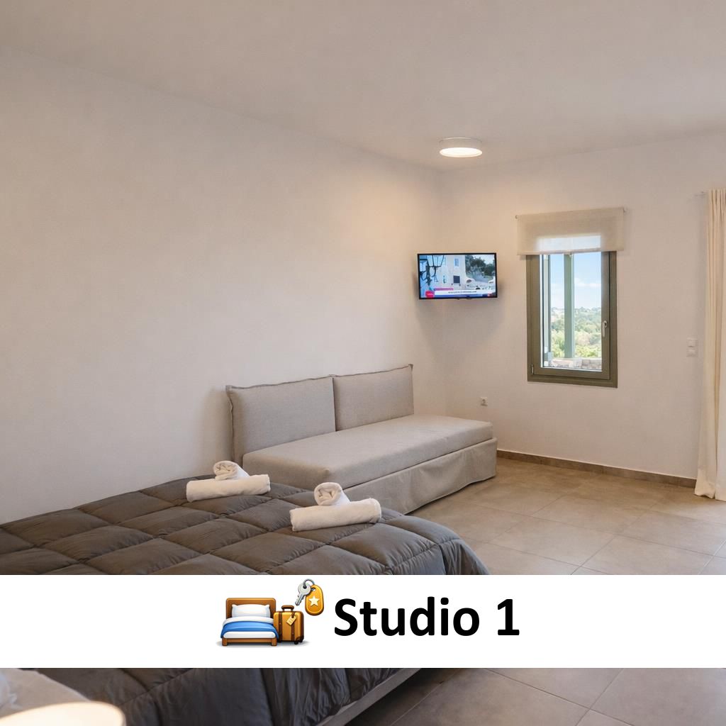 aroniadika_studio1_mini