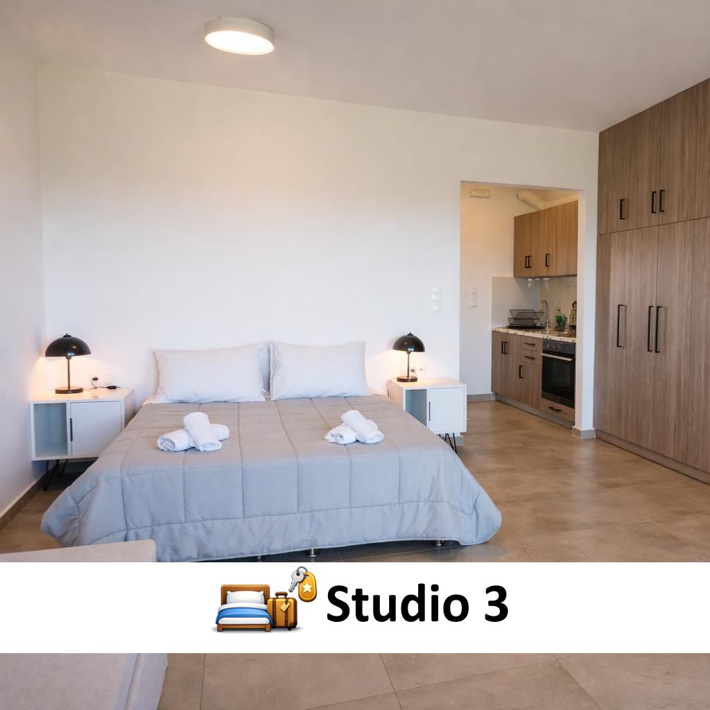 aroniadika_studio3_mini